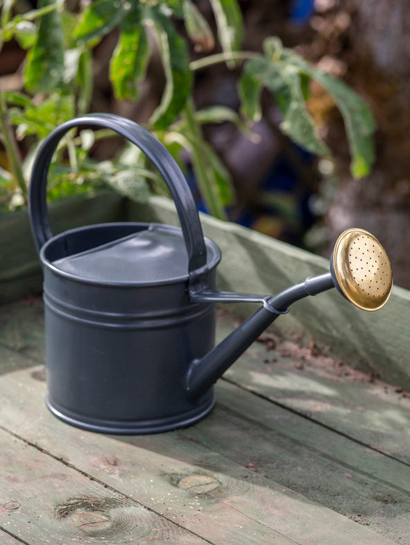 Watering Can - 1.5L
